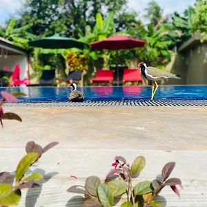 Deluxe Double or Twin Room Garden View